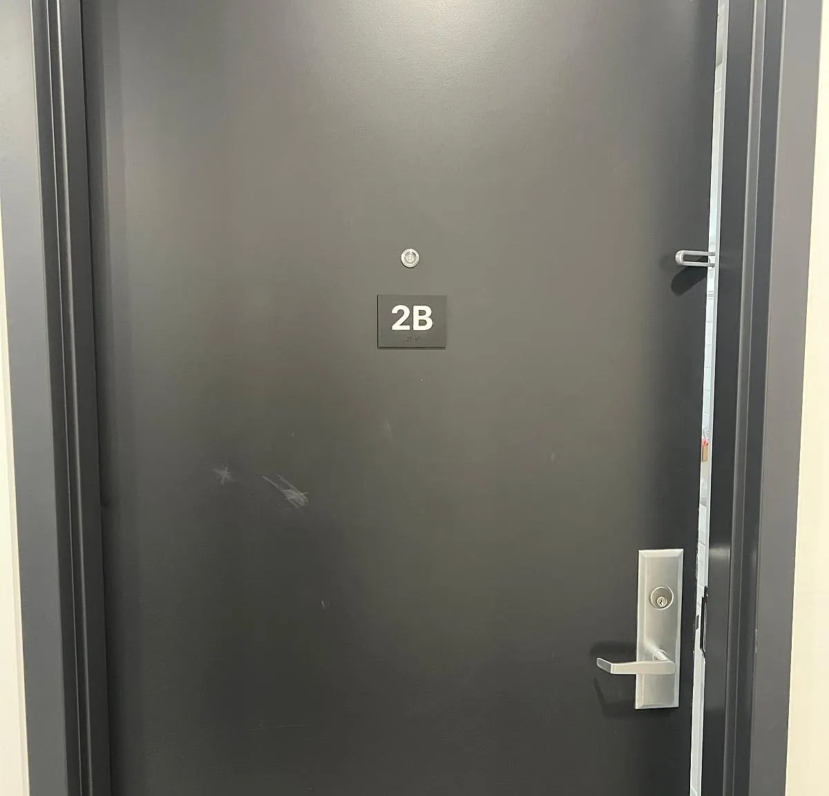 1 bed, 700 sqft, $2,762 — Photo 3