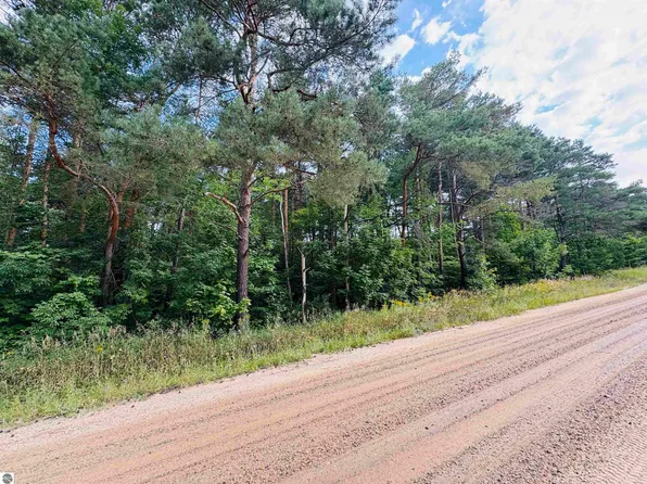 E 18 1/2 Rd, Manton, MI 49663
