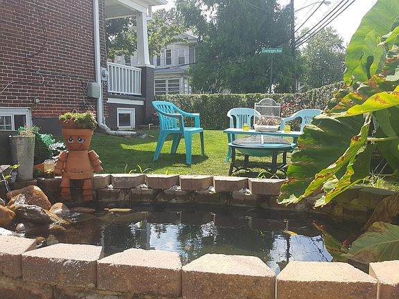 Pond