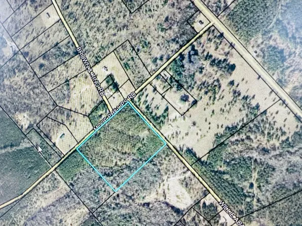 0 Mode Phelps Rd, Cadwell, GA 31009