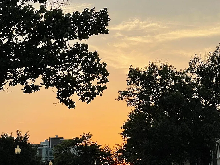 511 Florida Ave NW #1 — Photo 34
