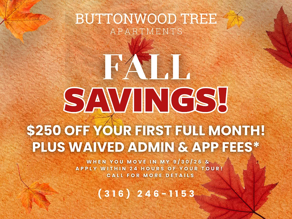 Buttonwood Tree