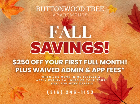 Buttonwood Tree
