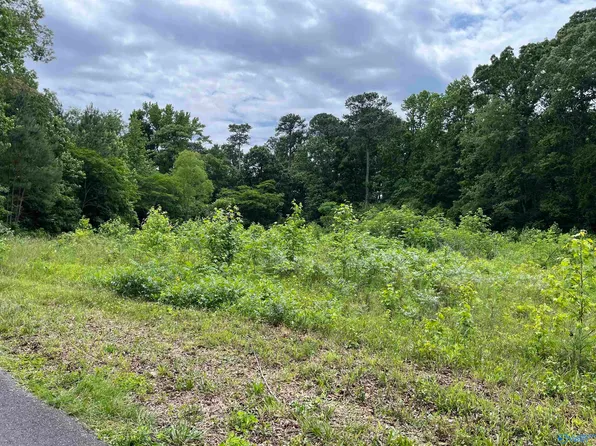 LOT 13 AND 14 Country Cove Rd, Crossville, AL 35962