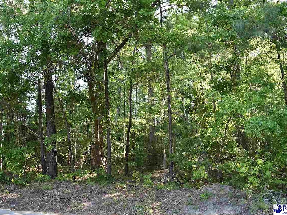 2nd image of 605 Forest Acres Dr