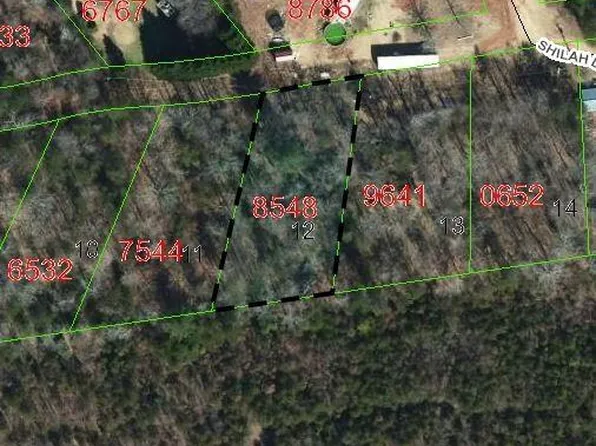 Biggerstaff Loop Lot 12, Nebo, NC 28761
