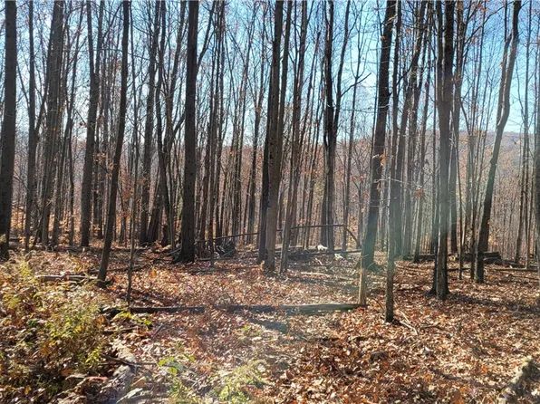 0 Hagerman Rd, Waverly, NY 14892