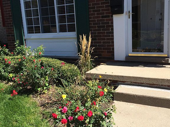 Front Entrance Landscape