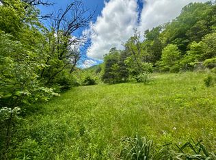 47/AC Enoch Rd, Eidson, TN 37731
