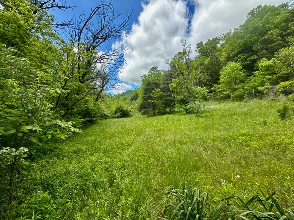 47/AC Enoch Rd, Eidson, TN 37731