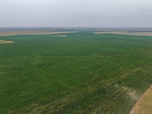 Dji Fly 20260723 075252 0463 1784837661828 Photo