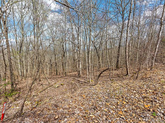 4th image of 0 Scenic Dr #33