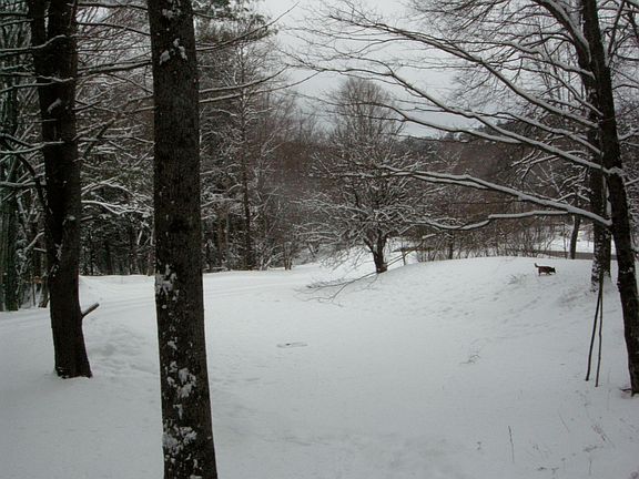 private drive 450' to house