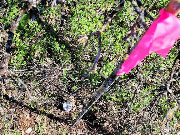 4th image of LOT 41 Quail Ridge Rd