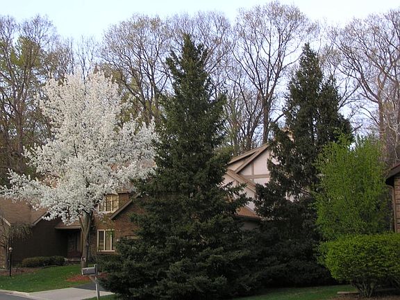 3rd image of 4474 Comanche Dr