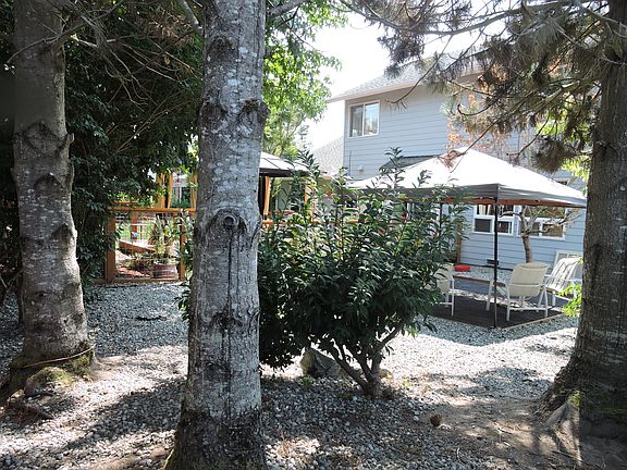 Doggie park 1