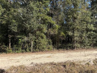 SW 134th Ter, Archer, FL, 32618