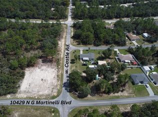 10429 N G Martinelli Blvd, Citrus Springs, FL 34433