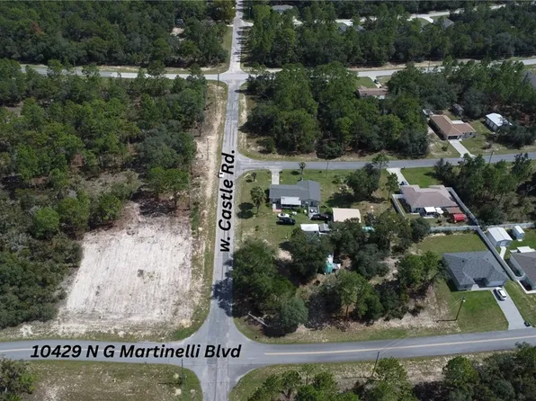 10429 N G Martinelli Blvd, Citrus Springs, FL 34433