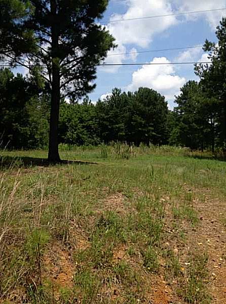 2nd image of 160 Smith Rd