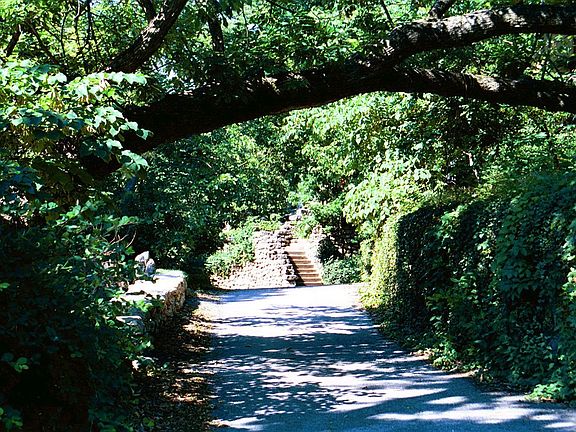Private Drive 