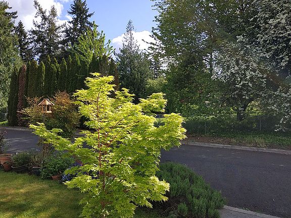 View from front yard