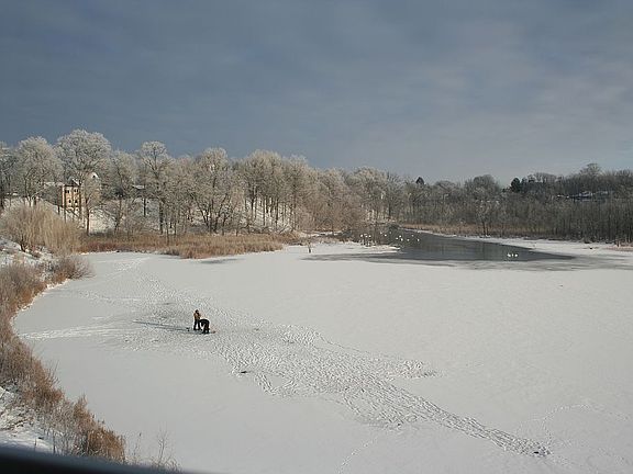 4 Season Fishing