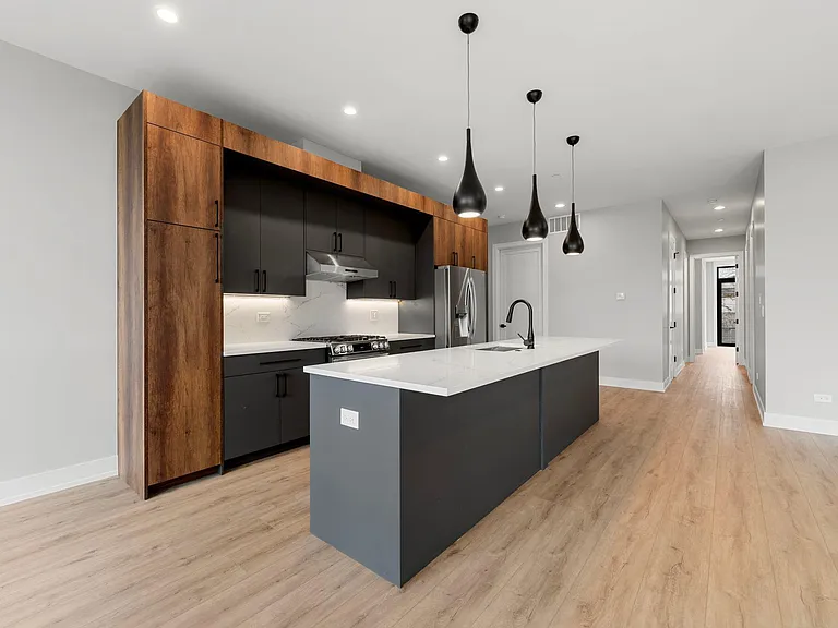 1718 S Halsted St #301 — Photo 4