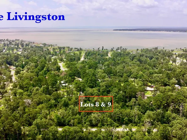 China Berry St Lot 8 & 9, Onalaska, TX 77360