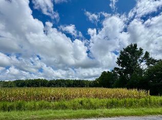 TBD Pearl Rd., Galivants Ferry, SC 29544