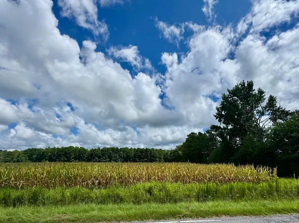 TBD Pearl Rd., Galivants Ferry, SC 29544