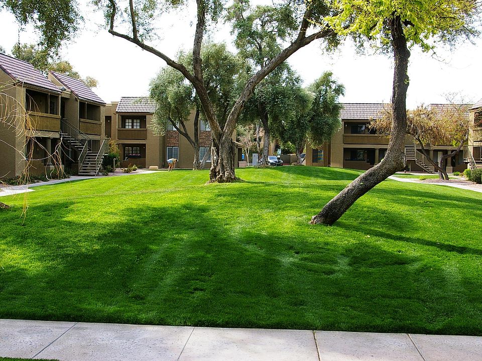 View from living room.