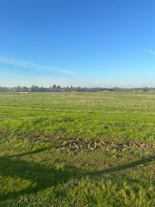 19443 E Stampede Rd, Clements, CA, 95227