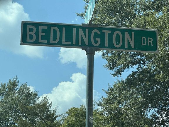 2nd image of 538 Bedlington Dr