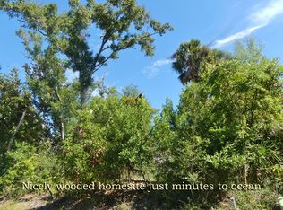 19 Gun Bluff Rd, Edisto Island, SC 29438