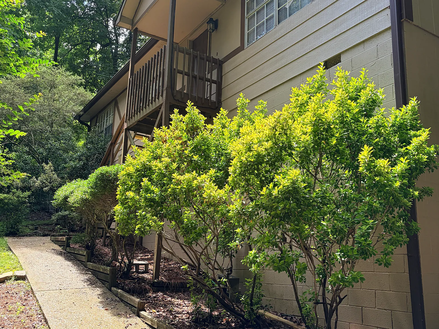 3 bed, 1125 sqft, $1,250 — Photo 2