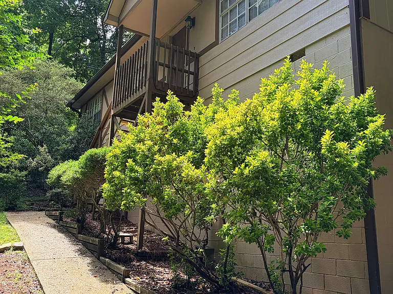 5172 Oak Haven Cir — Photo 2