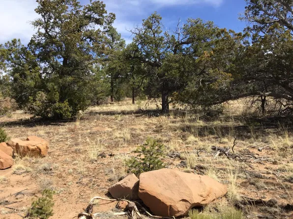 707 Che Loop, Ramah, NM 87321