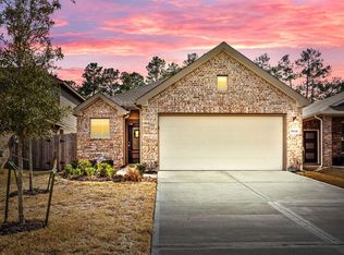 19046 Cicerone Ct, New Caney, TX 77357