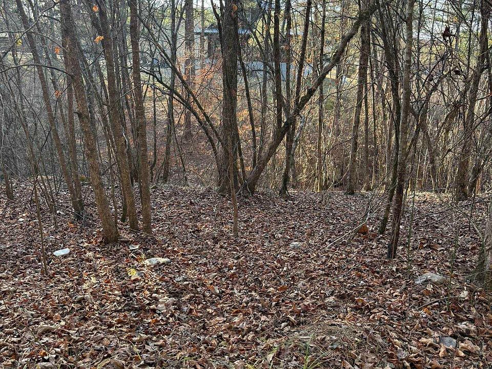 1st image of Old Factory Site Rd