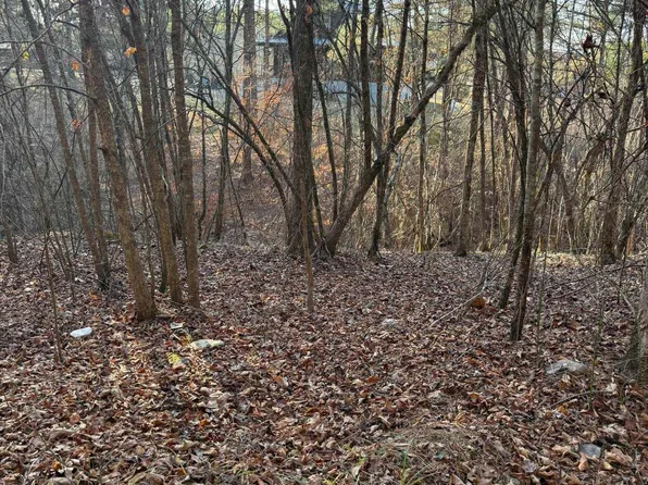 Old Factory Site Rd, Murfreesboro, AR 71958