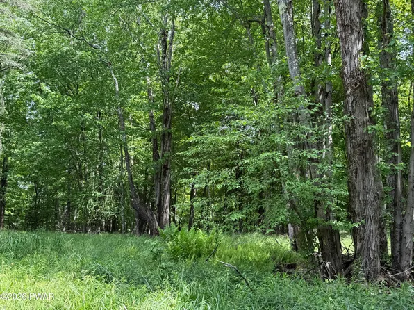 Dixon Valley Rd, Pleasant Mount, PA 18453