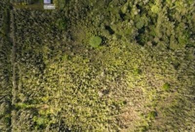 Road 2 Lot 2953, Kurtistown, HI, 96760
