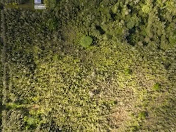 Road 2 Lot 2953, Kurtistown, HI 96760