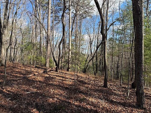 3rd image of 456 Four 5 &6 Mountain Wood