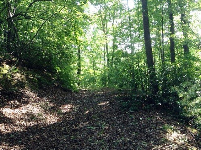2nd image of Lot B-27 South Cove Road