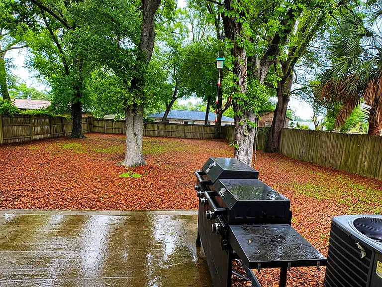 Backyard
