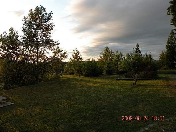 fruit trees and garden and landsdcaping is ready to go!