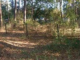 1st image of 97 Lake Ellen Dr