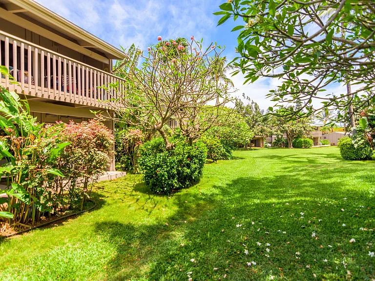 Lower Honoapiilani Rd — Photo 10